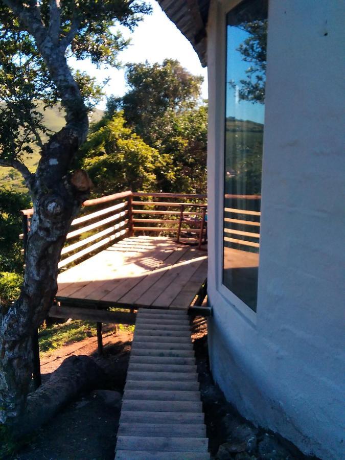 Wildview Self Catering Cottages Coffee Bay, Breakfast & Wi-Fi Inc Ngoại thất bức ảnh