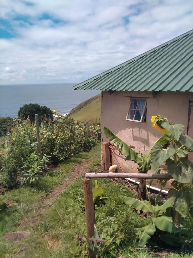 Wildview Self Catering Cottages Coffee Bay, Breakfast & Wi-Fi Inc Ngoại thất bức ảnh